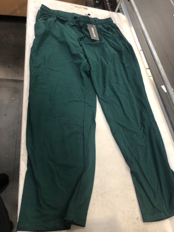 Photo 1 of dibaolong green pants/sweats size 2xl