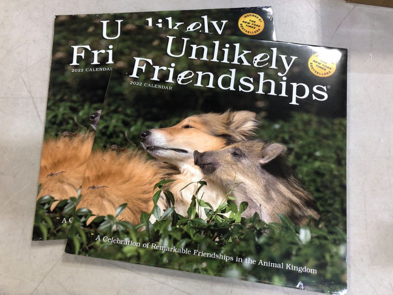 Photo 2 of 2-PACK:: Unlikely Friendships Wall Calendar 2022