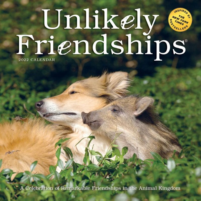 Photo 1 of 2-PACK:: Unlikely Friendships Wall Calendar 2022