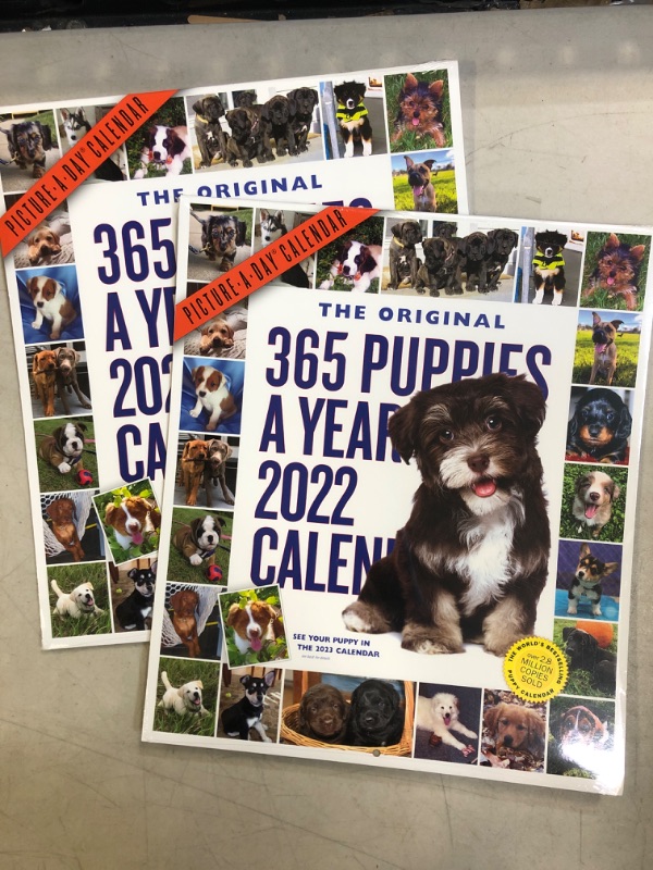 Photo 1 of 2PACK:: 365 Puppies-A-Year Picture-A-Day Wall Calendar 2022: The Most Adorable, Irresistible Puppies