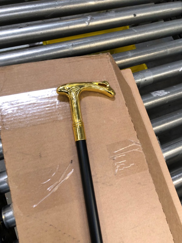 Photo 1 of 37" CANE 