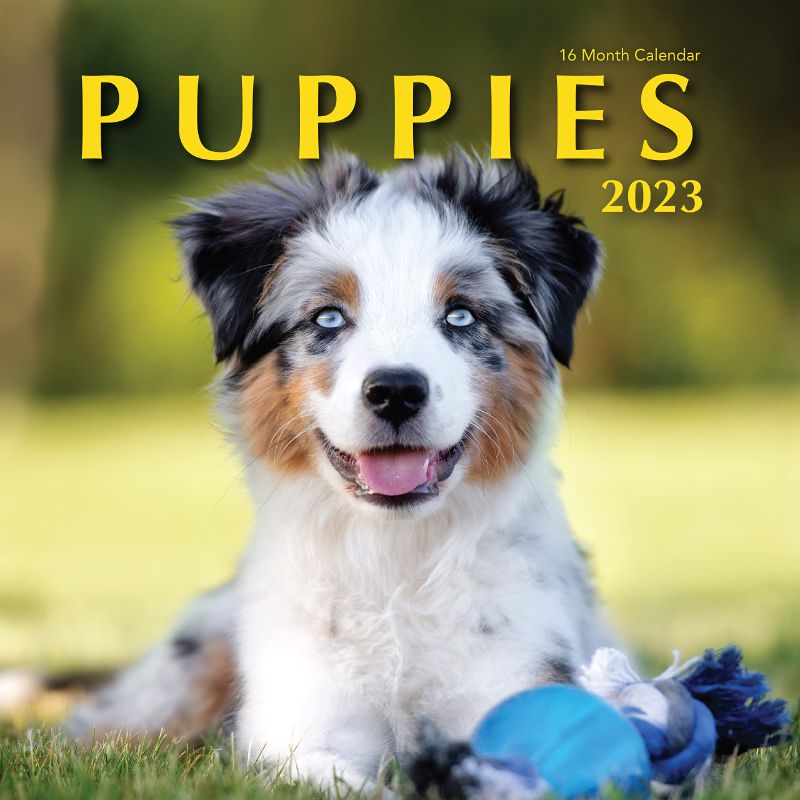 Photo 2 of 2-pack:: Puppies 2023 Hangable Wall Calendar - 12" x 24" Puppy Dogs Photography