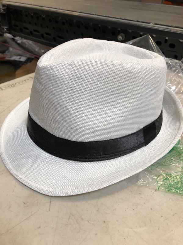 Photo 1 of FEDORA SKY SUMMER BEACH HAT WHITE