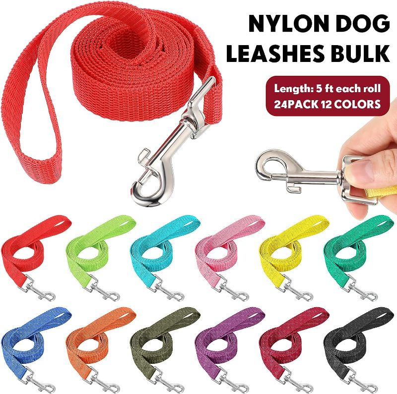 Photo 1 of 24 Pack Nylon Dog Training Leash Bulk 5 ft Dog Leash for Small and Medium Dogs Puppy Traction Rope for Training, Play, Camping, or Backyard, 12 Assorted Colors (Bright Colors)