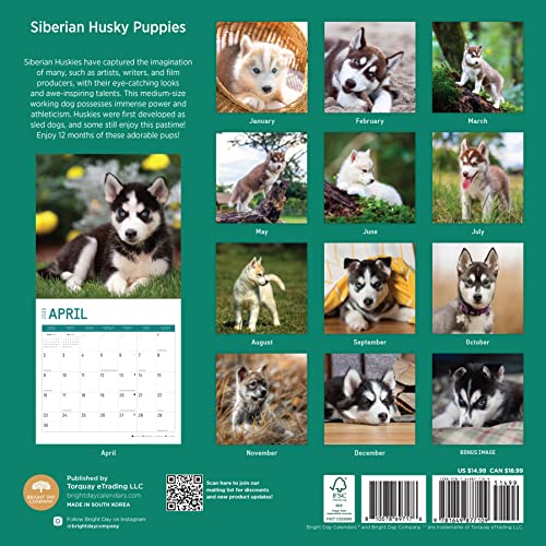 Photo 2 of 2023 Siberian Husky Puppies Wall Calendar by Bright Day, 12x12 Inch, Cute Adorable Pet Dog Photography
