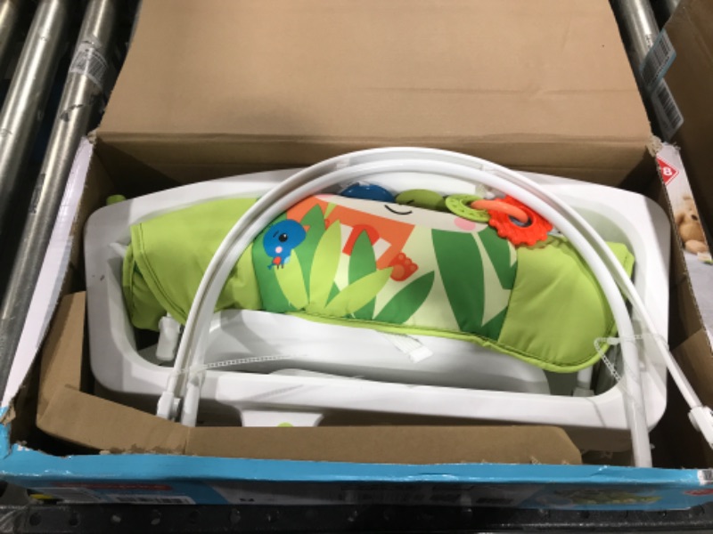 Photo 1 of Fisher-Price  Infant-to-Toddler Rocker Green