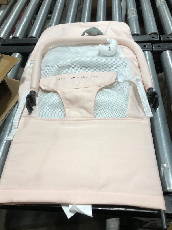 Photo 2 of Baby Delight Alpine Deluxe Portable Bouncer | Infant | 0 – 6 Months | Peony Pink