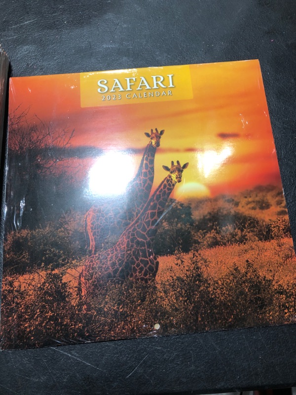 Photo 2 of 2023 Safari Monthly Wall Calendar by Red Robin Calendars 12" x 12"
