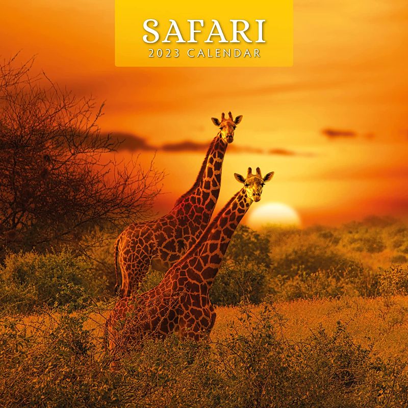 Photo 1 of 2023 Safari Monthly Wall Calendar by Red Robin Calendars 12" x 12"
