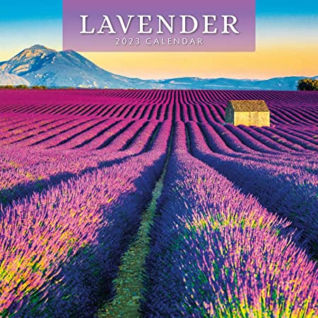 Photo 1 of 2023 Lavender Monthly Wall Calendar by Red Robin Calendars 12" x 12"
