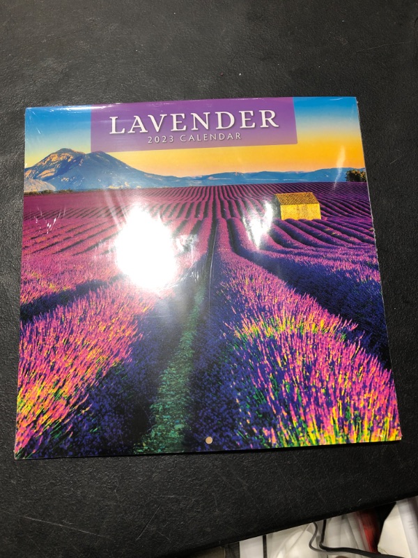 Photo 2 of 2023 Lavender Monthly Wall Calendar by Red Robin Calendars 12" x 12"
