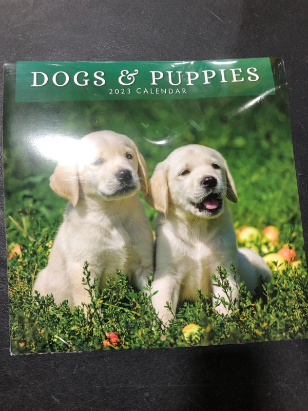 Photo 2 of 2023 Dogs & Puppies Monthly Wall Calendar by Red Robin Calendars 12" X 12"
