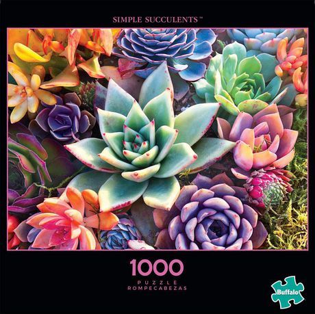 Photo 1 of Buffalo Games - Photography - Simple Succulents - 1000 Piece Jigsaw Puzzle
