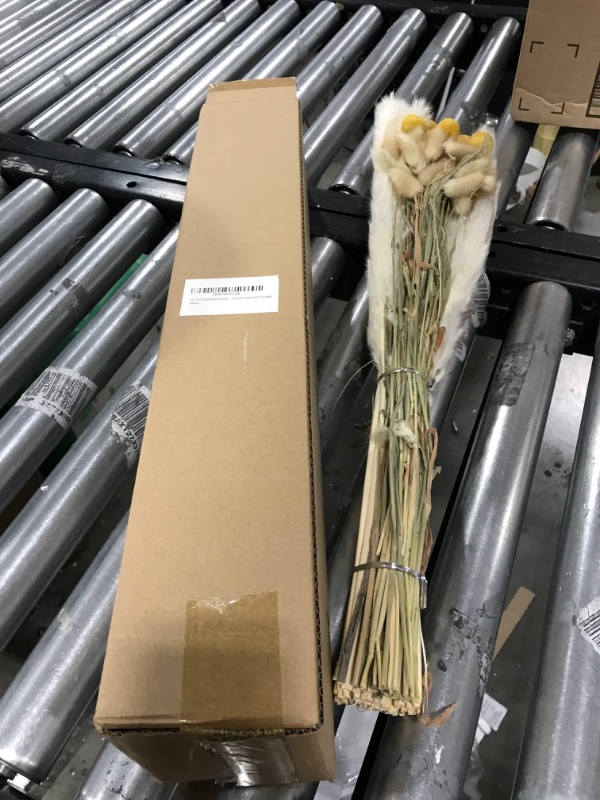 Photo 2 of 100 PCS of Assorted Pampas Grass Set , Pampas Grass Include White Pampas Grass and Natural Dried Pampas , Great for Boho Living Room Decor and Boho Kitchen Decor , Vase not Included
