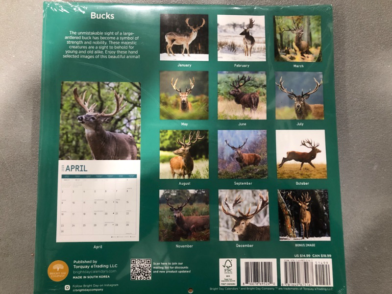 Photo 2 of 2023 Bucks Wall Calendar by Bright Day, 12x12 Inch, Deer Beautiful Wildlife Nature Animal Hunting Photography
