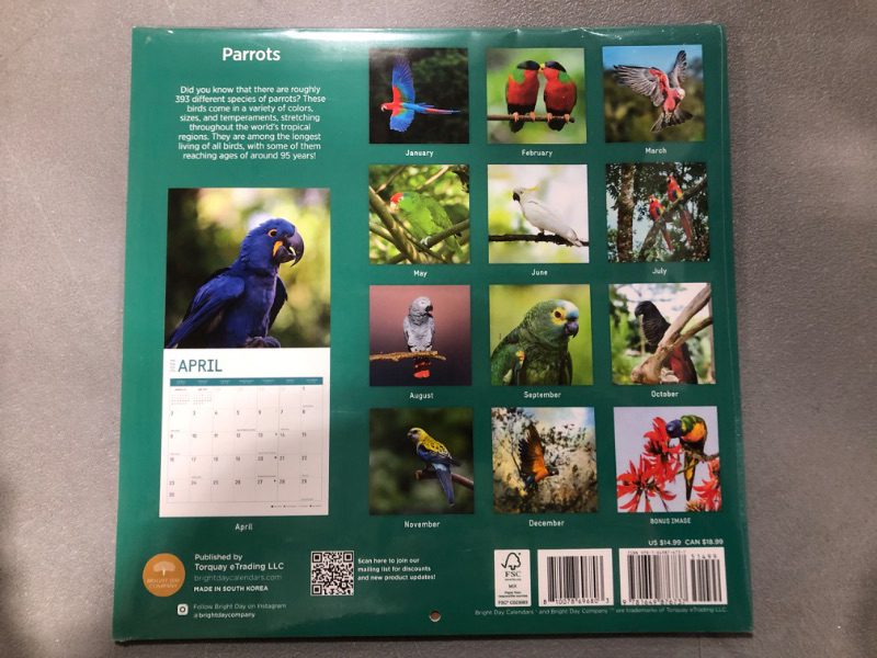 Photo 2 of 2023 Parrots Wall Calendar by Bright Day, 12x12 Inch, Beautiful Exotic Bird Photography