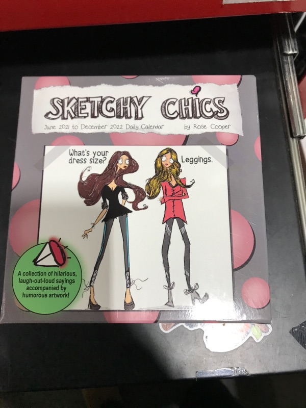 Photo 2 of Turner Licensing Sketchy Chics 19-Month Box Calendar