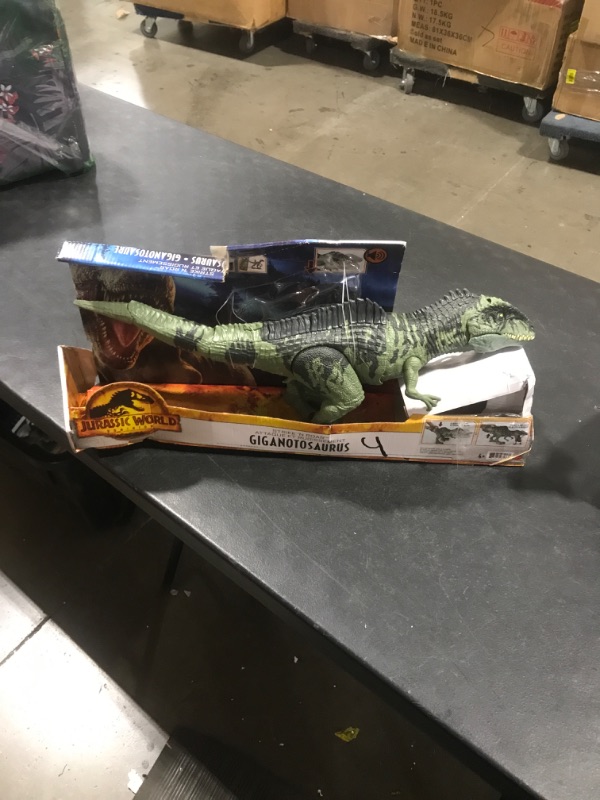 Photo 2 of Jurassic World Dominion Dinosaur Toy, Strike N Roar Giganotosaurus, Action Figure with Striking Motion and Sounds?? Frustration Free Packaging