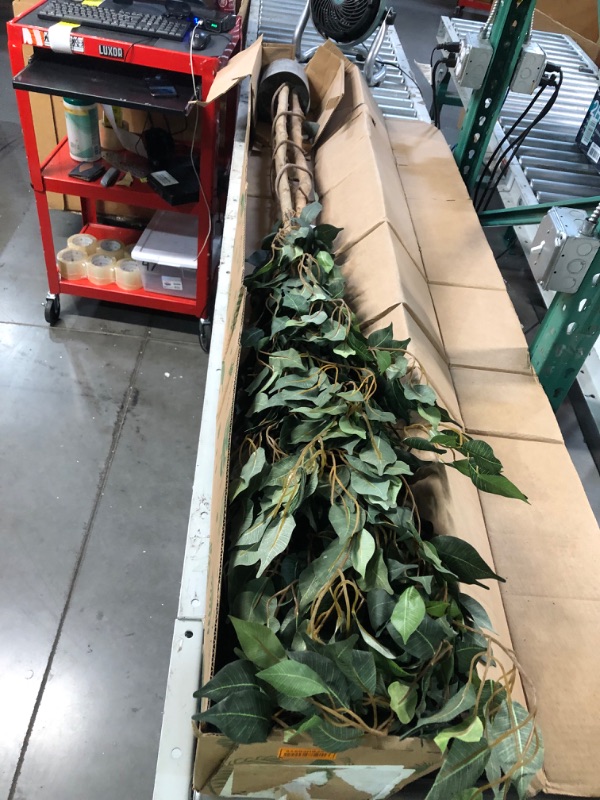 Photo 2 of [Brand New] Nearly Natural Artificial 8ft. Ficus Tree
