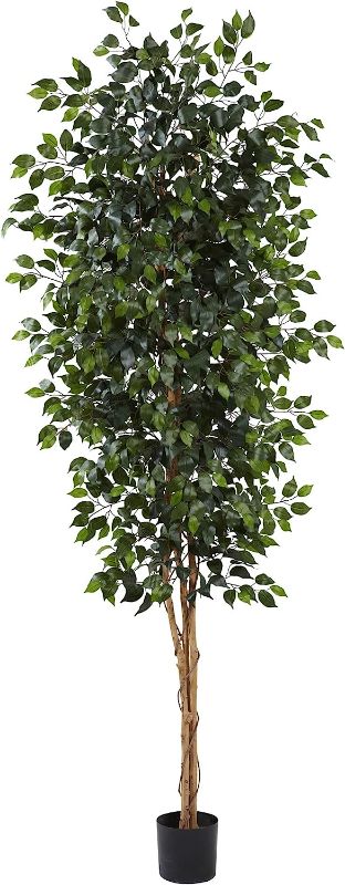 Photo 1 of [Brand New] Nearly Natural Artificial 8ft. Ficus Tree
