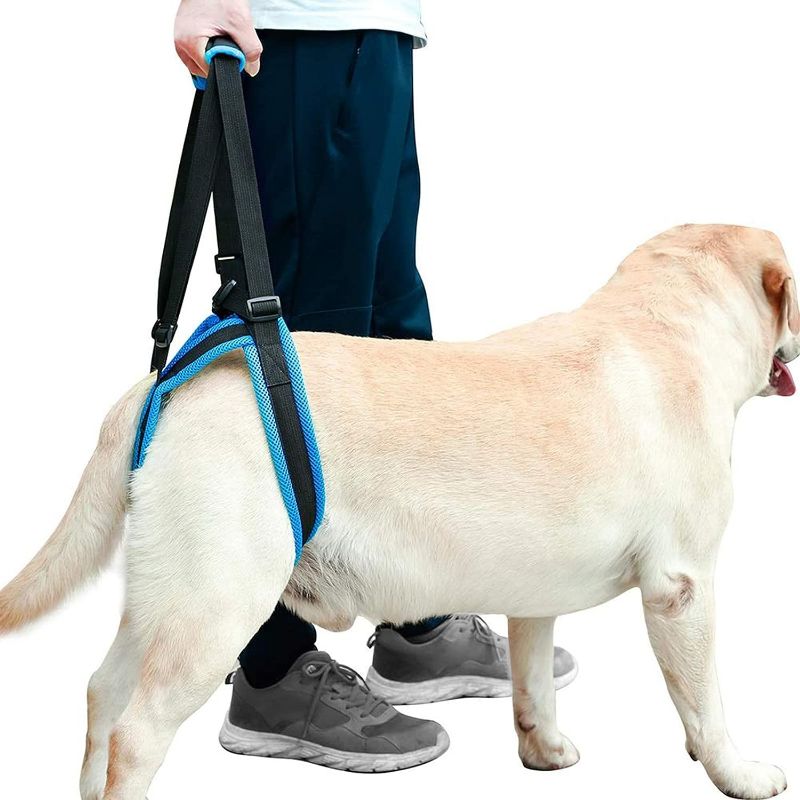 Photo 1 of ROZKITCH Pet Dog Support Harness