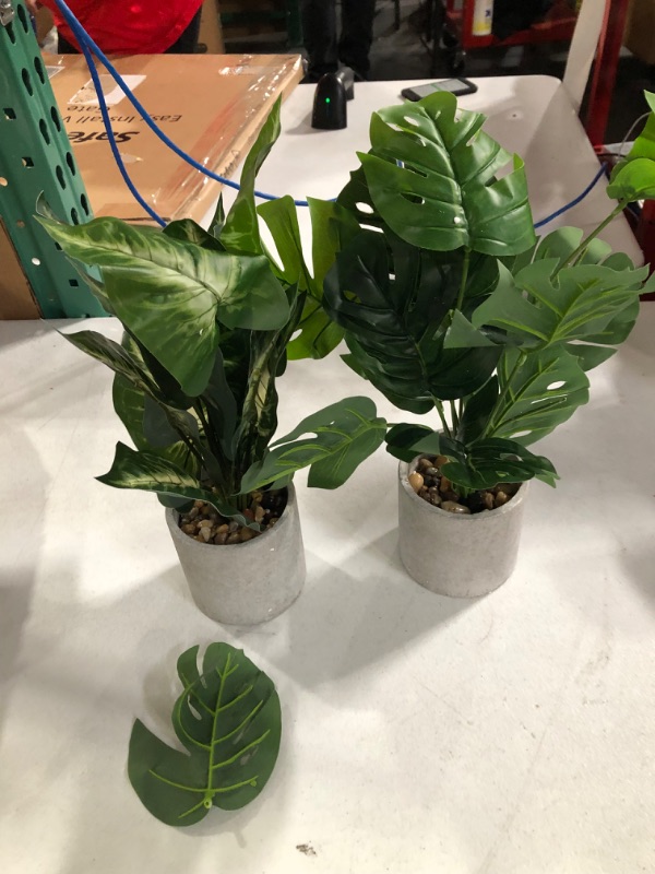 Photo 2 of -SEE NOTES-Der Rose 2 Pack Fake Plants Artificial Potted Faux Plants for Office Desk Home Farmhouse Decor Taro Leaf and Greenery Leaf 2Packs 16''