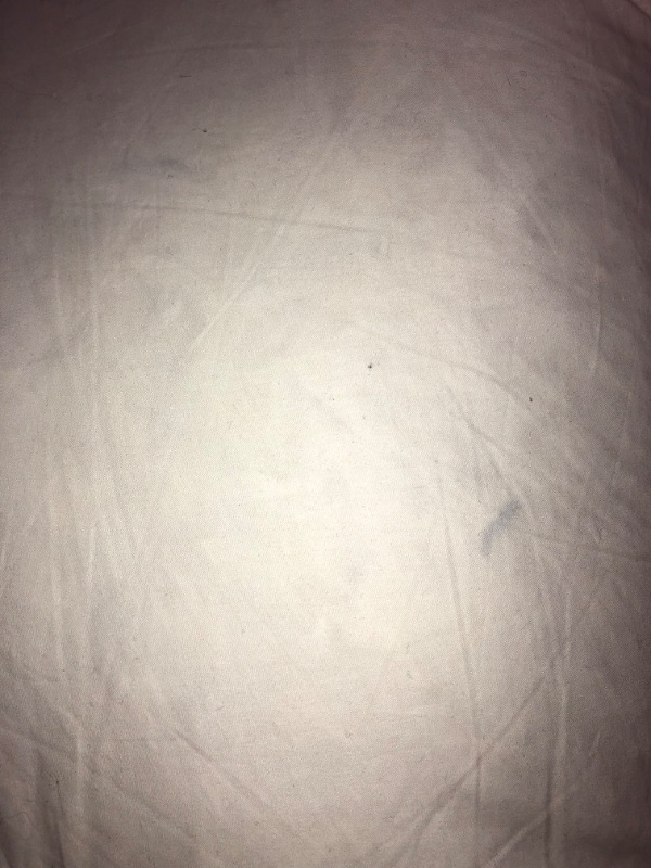 Photo 1 of -USED(SEE PICTURES)-Full Size Feather Bed (54"x75")