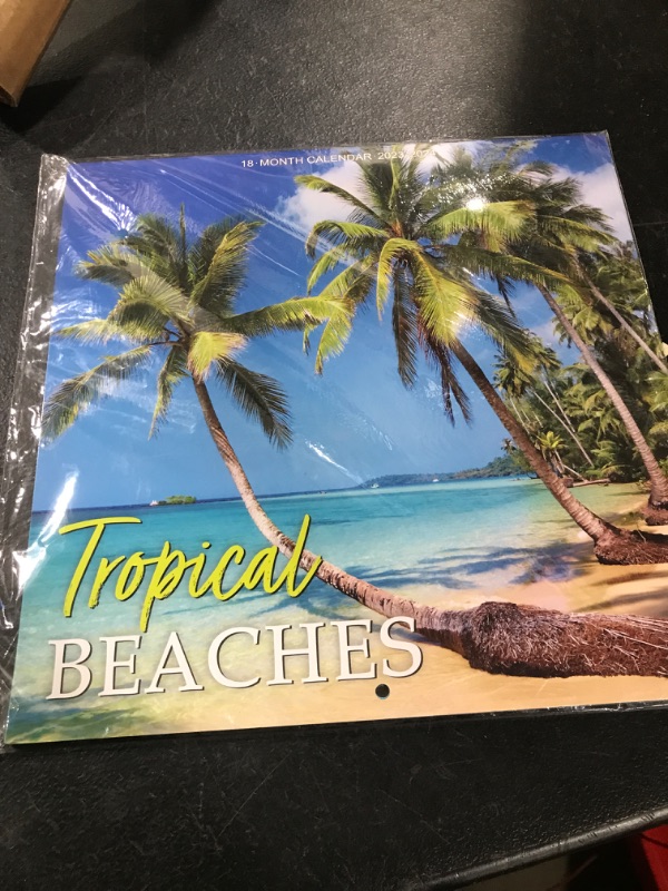 Photo 2 of Calendar 2023-2024 - Wall Calendar 2023-2024, 18-Month Wall Calendar 2023, Jan. 2023 -Jun. 2024, 12" x 24" (Open), Unruled Blocks with Thick Paper - Coconut Tree Sky Blue