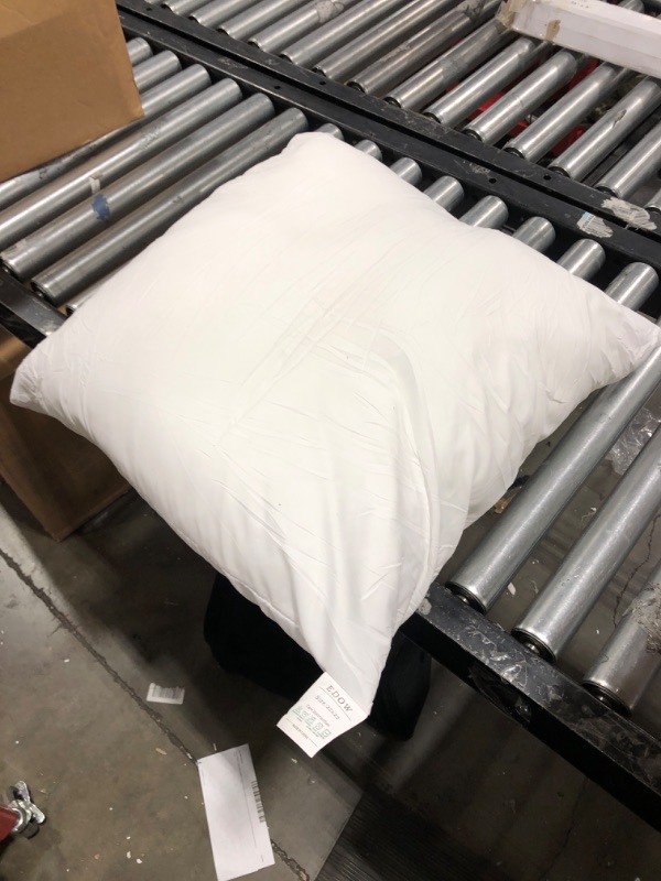 Photo 1 of 22 x 22 Inch Pillow