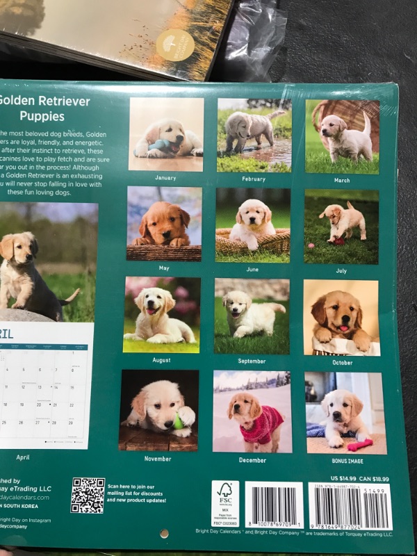 Photo 2 of 2023 Golden Retriever Puppies Wall Calendar by Bright Day, 12 x 12 Inch, Cute Dog Dog Breed Thick and Sturdy Paper