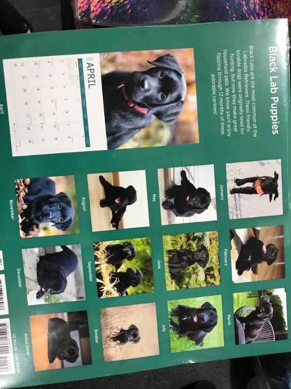Photo 2 of 2023 Black Lab Puppies Wall Calendar by Bright Day, 12x12 Inch, Cute Adorable Pet Dog Photography