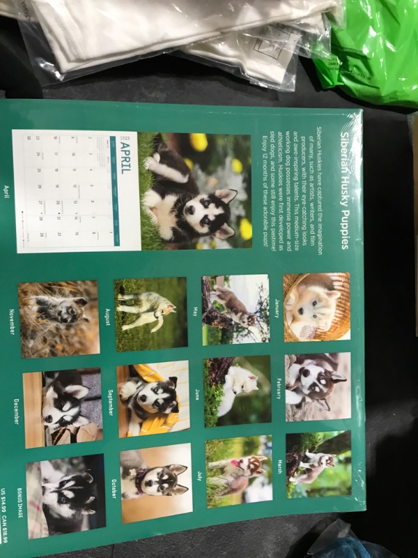 Photo 2 of 2023 Siberian Husky Puppies Wall Calendar by Bright Day, 12x12 Inch, Cute Adorable Pet Dog Photography
