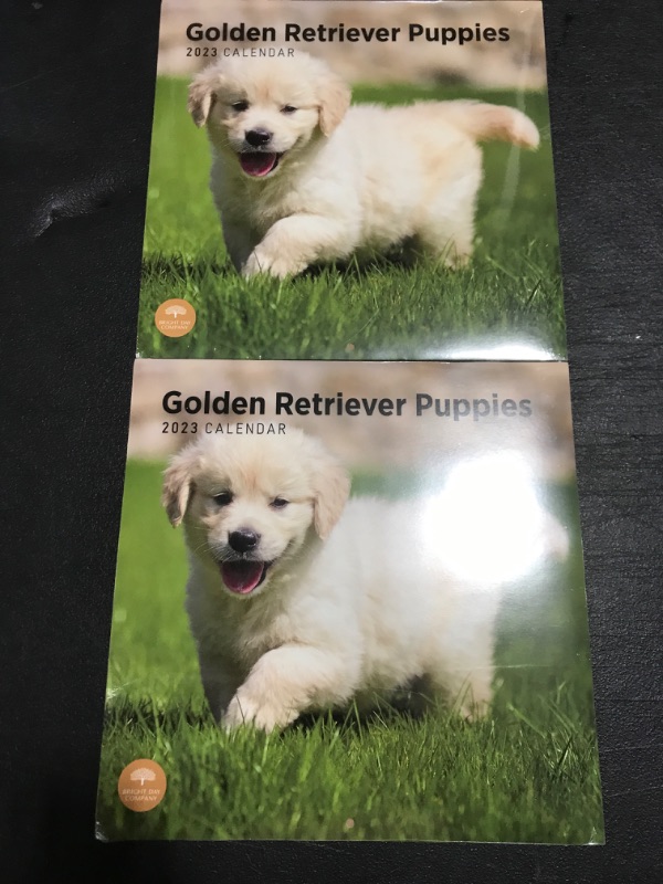 Photo 2 of LOT OF 2 2023 Golden Retriever Puppies Wall Calendar by Bright Day, 12 x 12 Inch, Cute Dog Dog Breed Thick and Sturdy Paper