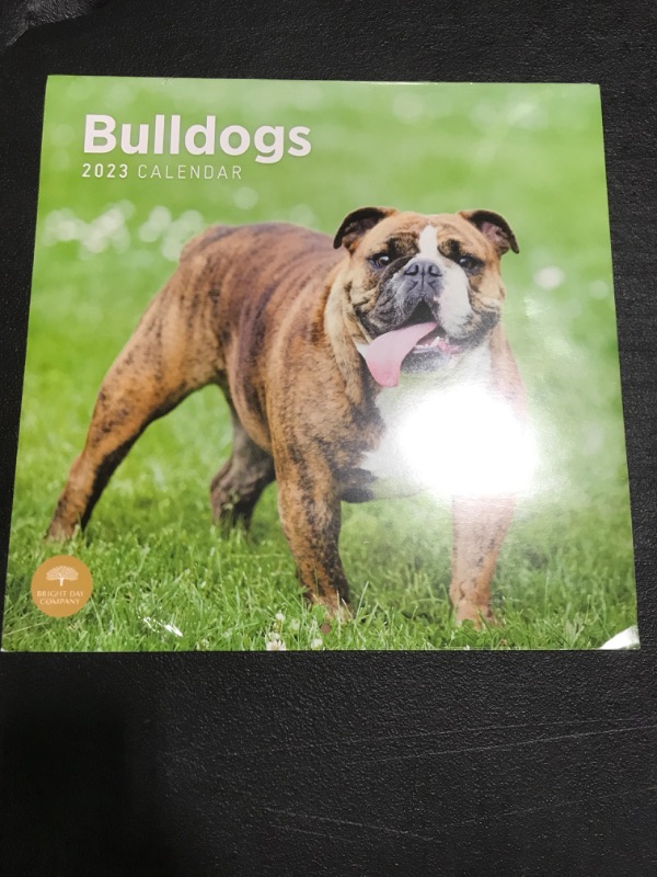 Photo 2 of 2023 Bulldogs Wall Calendar by Bright Day, 12x12 Inch, Cute Adorable Pet Puppy Dog Photography