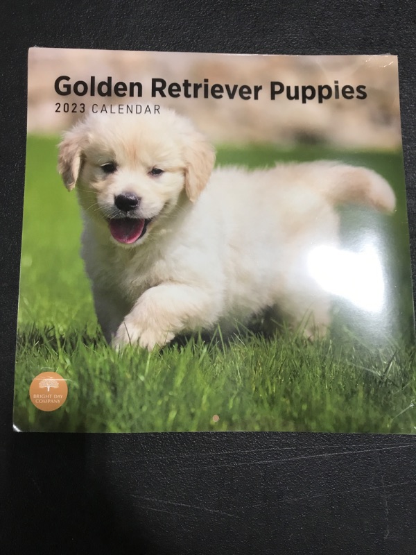 Photo 2 of 2023 Golden Retriever Puppies Wall Calendar by Bright Day, 12 x 12 Inch, Cute Dog Dog Breed Thick and Sturdy Paper