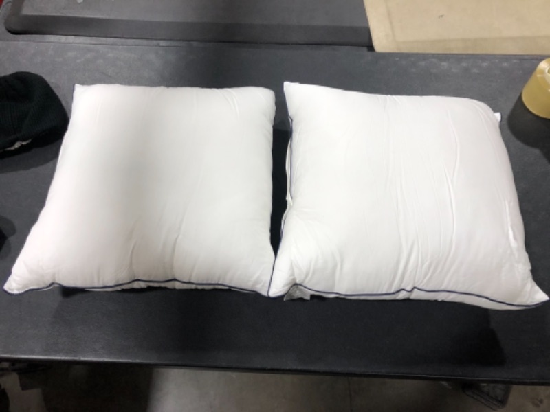 Photo 1 of 100% Bamboo Filling Cover Pillows/ 2 Counts