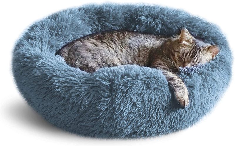 Photo 1 of  Calming Cat Bed, Cat Beds for Indoor Cats, Small Dog Bed