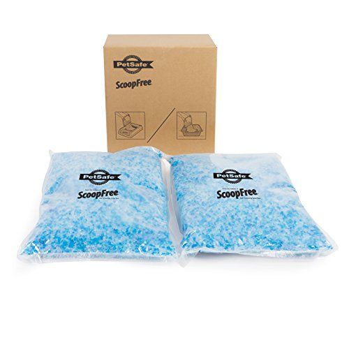 Photo 1 of  ScoopFree Premium Scented Non-Clumping Crystal Cat Litter, 2 Pack 