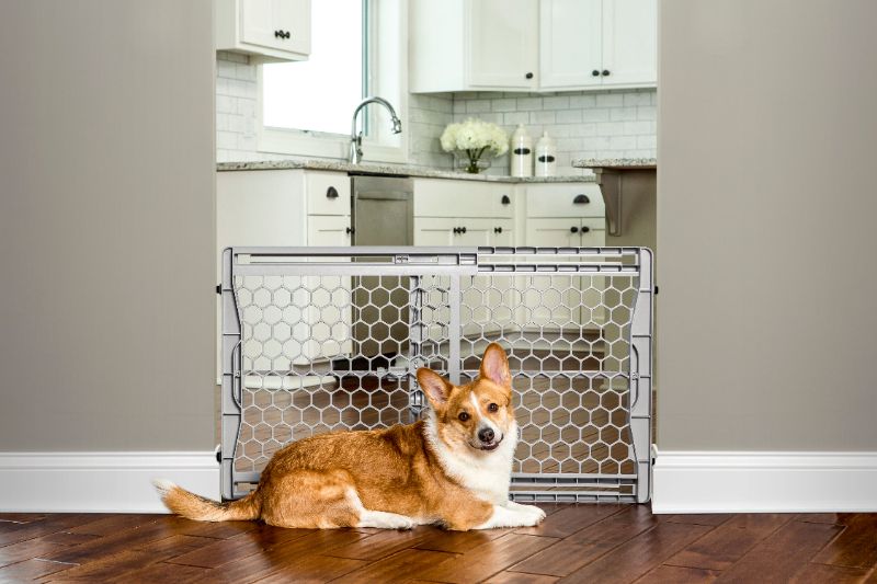 Photo 1 of  Easy Fit Plastic Adjustable Wide Pet Gate
