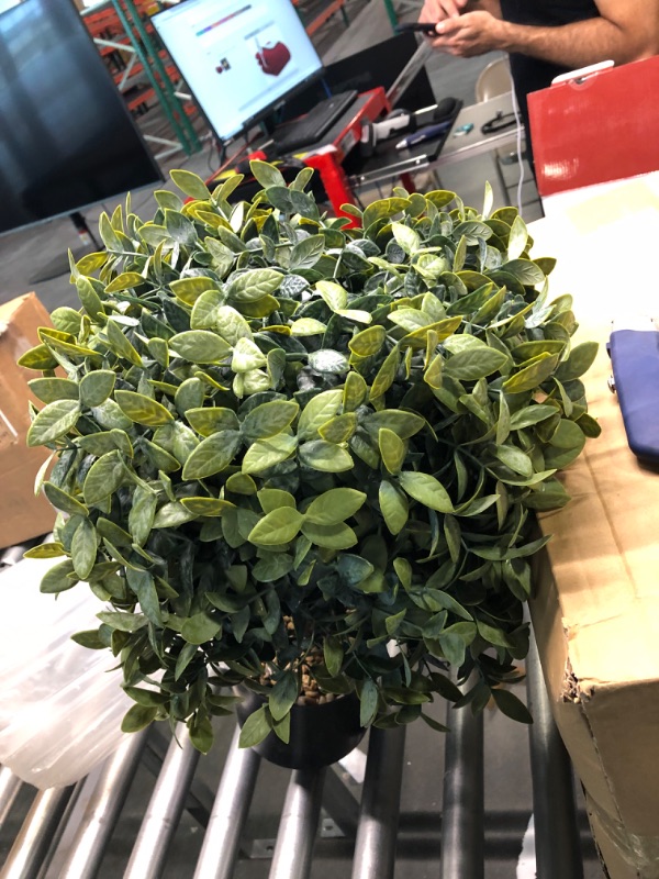Photo 1 of 2 artificial asian jasmine plant 20 inch
