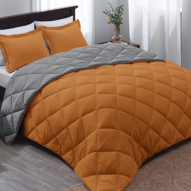 Photo 1 of Basic Beyond Queen Comforter - Burnt Orange Reversible Down Alternative Bed Comforter king...
