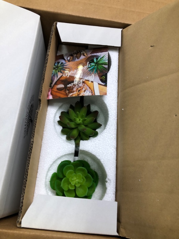 Photo 4 of Kurrajong Farmhouse Artificial Succulent Plants in pots | Mini Fake Plant for Shelves | Artificial Plants for Home Decor Indoor | Succulent Plants Artificial | Mini Plant Decor | Small Faux Plants