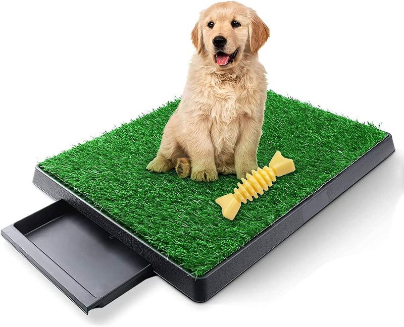 Photo 1 of Dog Grass Pad with Tray, Artificial Grass Mats Washable Grass Pee Pads for Dogs, Pet Toilet Potty Tray for Puppy & Small Pet, Dogs Turf Potty Training Grass Mat for Indoor Outdoor Apartments (25"x20")
