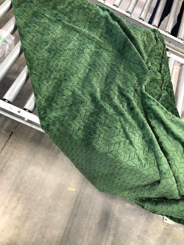 Photo 2 of inhand Fleece Throw Blankets, Super Soft Flannel Cozy Blankets for Adults, Washable Lightweight Fuzzy Blanket for Couch Sofa Bed Office, Throw Size Warm Plush Blankets for All Season (50"×60", Green) A-green 50"×60"