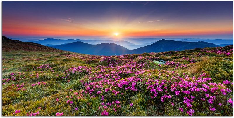 Photo 1 of 120 x 60 cm Wall Picture Ukraine Flower Meadow Mountains Sun Nature Canvas Picture
