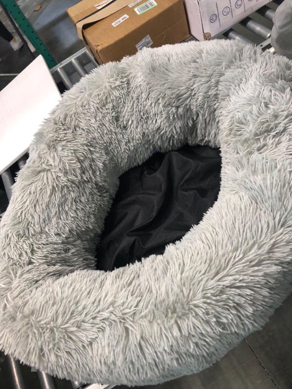 Photo 4 of Donut Cat and Dog Bed in Shag Fur Frost, Small