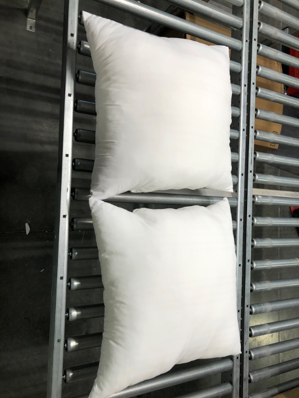 Photo 1 of 2 Count Small Pillow