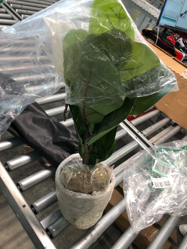 Photo 1 of Aveyas 22" Tall Artificial Fiddle Leaf Fig Tree in Cemented Plastic Pot, 22 inch Potted Faux Silk Trees Fake Ficus Lyrata Plants for Office House Bedroom Living Room Home Floor Decor (Indoor/Outdoor)