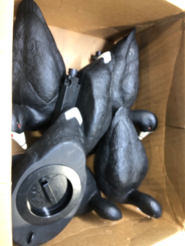 Photo 1 of 6 black plastic ducks