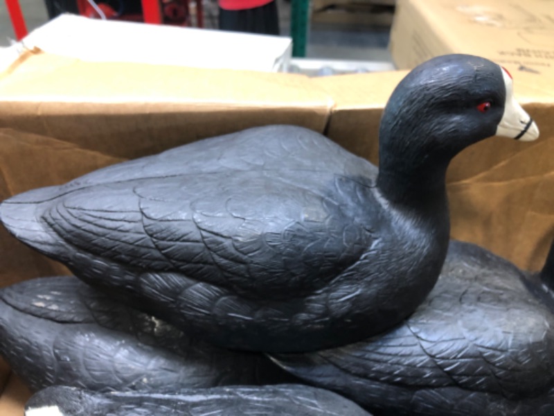 Photo 2 of 6 black plastic ducks